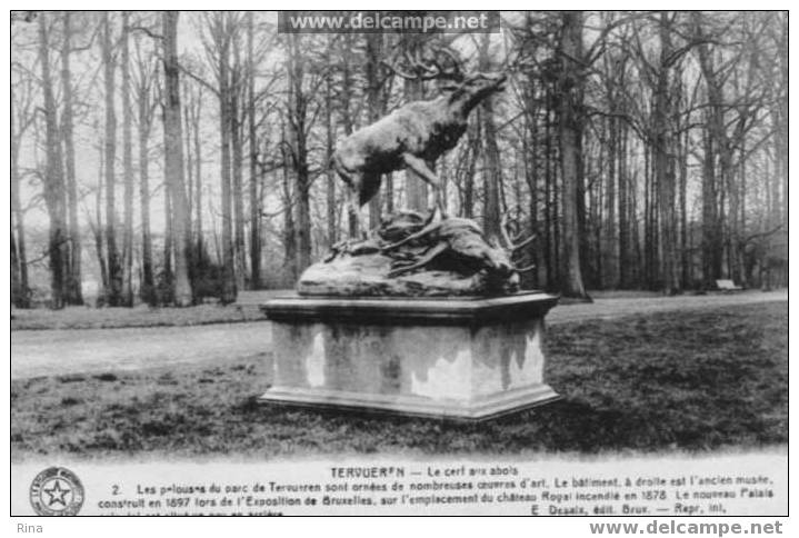 Tervueren-Le Cerf Aux Abois - Tervuren