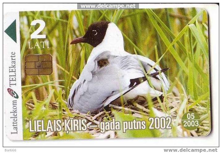 LATVIA USED PHONECARD - 2 Lati " LARUS / Sea Gull " - Lettonia