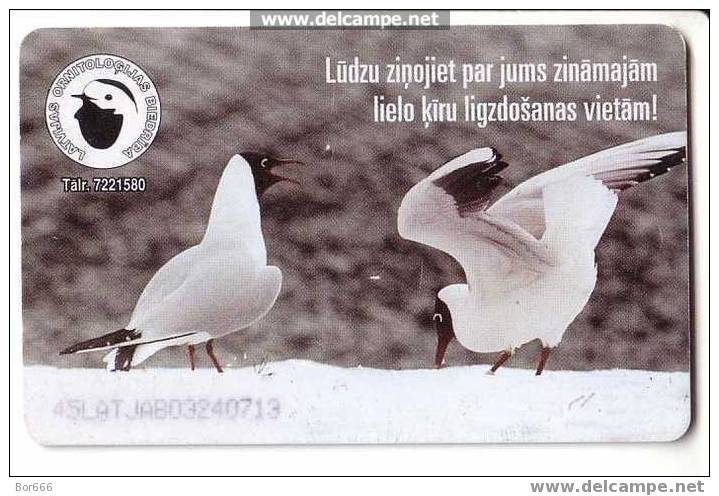 LATVIA USED PHONECARD - 2 Lati " LARUS / Sea Gull " - Lettonia