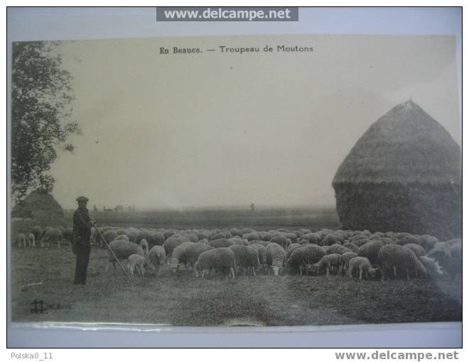 CPA EN BEAUCE TROUPEAU DE MOUTONS EDT LENORMAND ORLEANS NON VOYAGE - Landwirtschaftl. Anbau