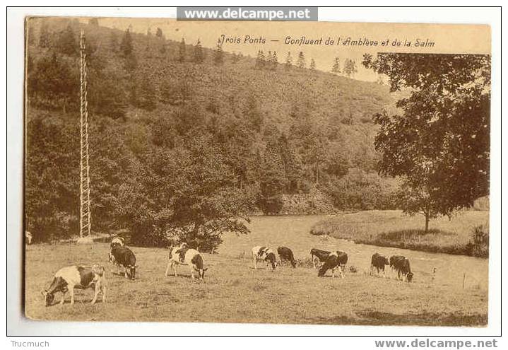 Lg74 - 13 - TROIS-PONTS - Confluent De L´ Amblève Et De La Salm - Trois-Ponts