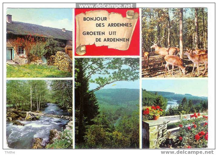 Bonjour Des ARDENNES / Groeten Uit De ARDENNEN (carte Avec 5 Vues) - Sonstige & Ohne Zuordnung