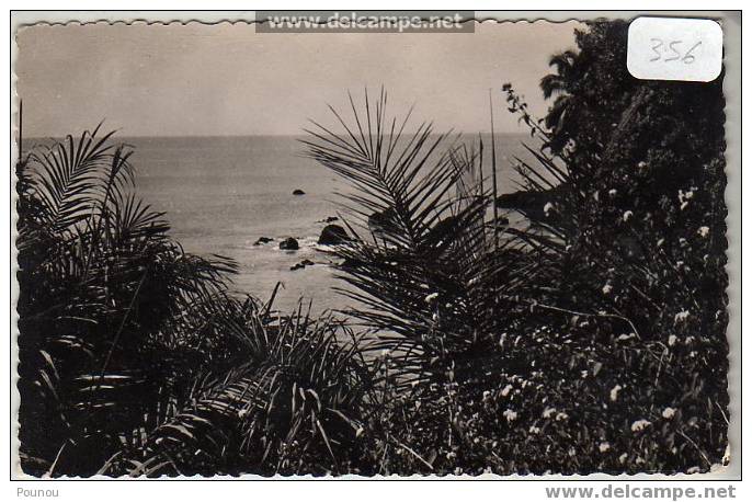 - GUINEE - CONAKRY - UN COIN DE LA CORNICHE (356) - Guinée Française