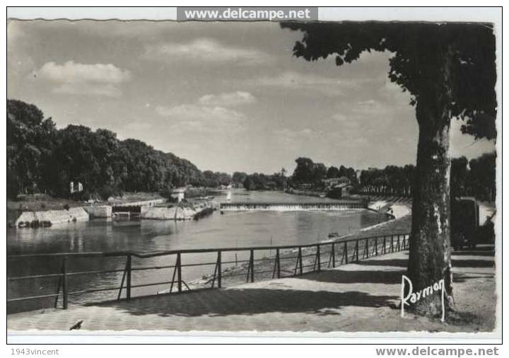 170 - MAISONS ALFORT - Vue Sur La Marne - 1952 - - Maisons Alfort