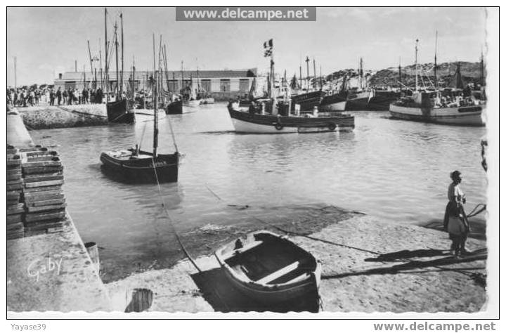 85 CROIX DE VIE Le Port Arrivée Des Sardiniers Année 1964 Dentelée - Saint Gilles Croix De Vie