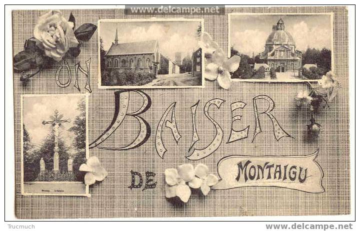 2028  -  Baiser De MONTAIGU - Scherpenheuvel-Zichem