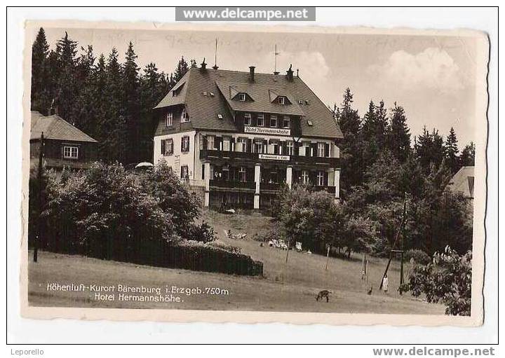 AK BÄRENBURG Hotel 1936 R*781 - Altenberg