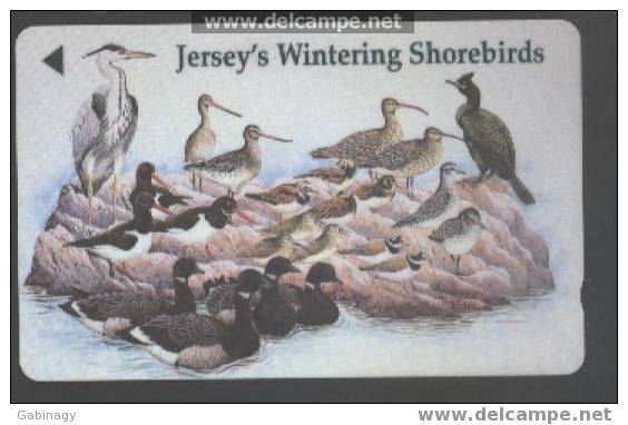 JERSEY - JER-143 - BIRDS - Jersey E Guernsey
