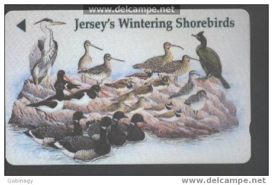 JERSEY - JER-143 - BIRDS - [ 7] Jersey And Guernsey