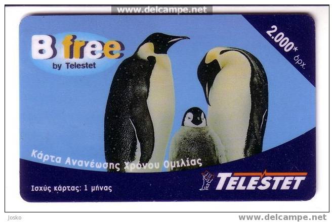 PENGUIN ( Greece Card )*** Pingouin - Manchot - Pinguin - Pingüino - Pinguino - Penguins - Pingouin - Damaged Card - Pingouins & Manchots