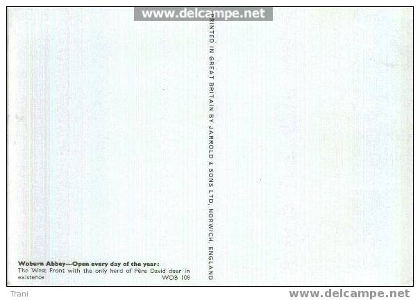 WOBURN ABBEY - Andere & Zonder Classificatie