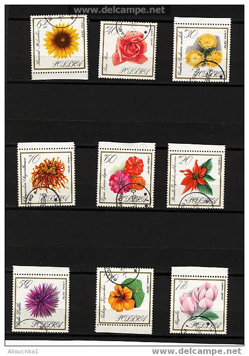 POLOGNE  RARE A TROUVER EN SERIE COMPLETE  SUR LE THEME DES FLEURS /FLOWERS - Unused Stamps