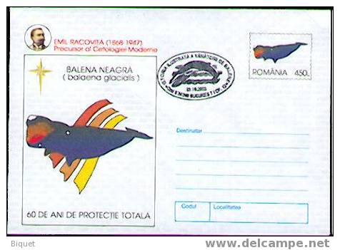 Entier Postal Roumain Sur Les Baleines/whale, Cachet Concordant - Wale