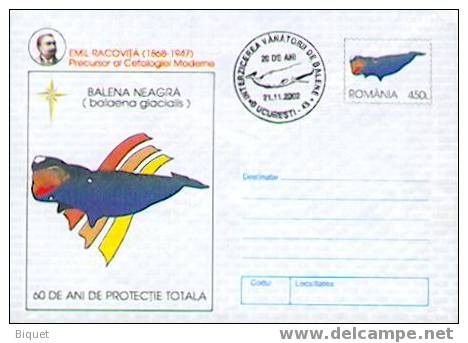 Entier Postal Roumain Sur Les Baleines, Cachet Concordant (3) - Wale