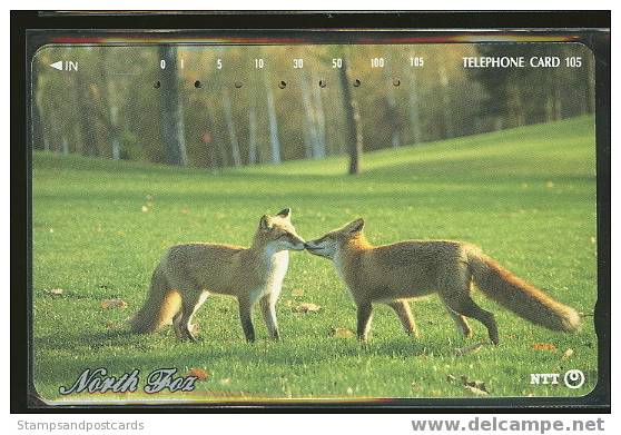 Télécard Japon RENARD Phonecard Japan FOX - Jungle