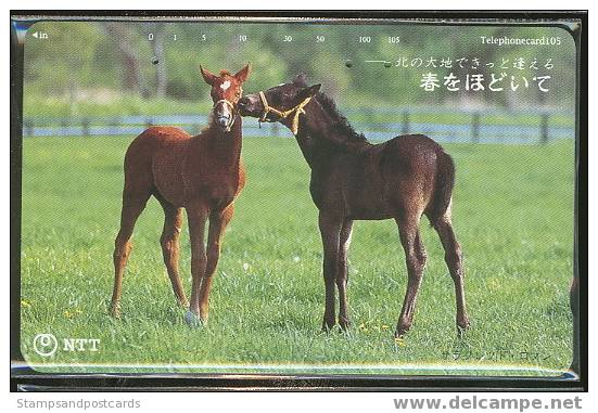 Télécard Japon CHEVAL Phonecard Japan HORSE - Horses