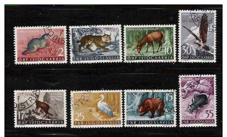 Trieste.Zone B.Yugoslavia.Italy.Fauna.Animals.Birds. - Usati