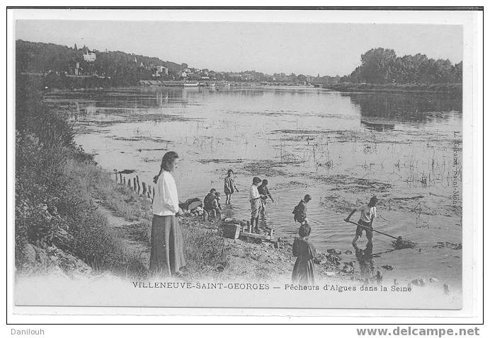 94 //VAL DE MARNE / VILLENEUVE ST GEORGES / Pêcheurs D´algues Dans La Seine / ANIMEE - Villeneuve Saint Georges