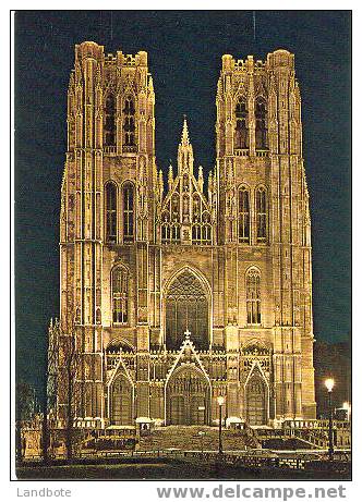 Bruxelles Brussel Cathédrale St. Michel St. Michielskathedraal - Bruxelles La Nuit