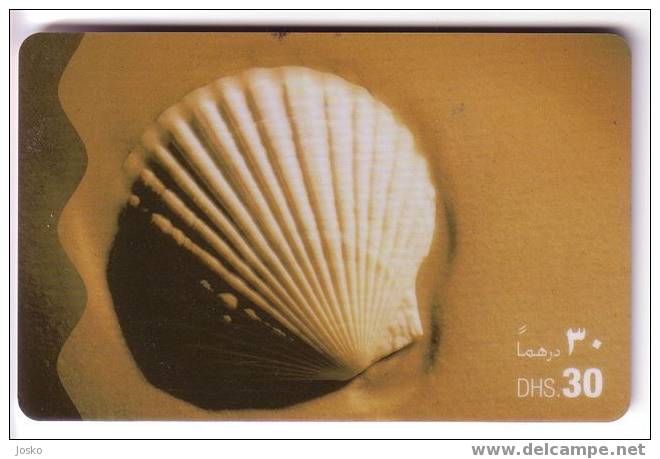 Undersea World - Underwater - Marine Life - Sea Shell - Shells - Coquille - Seashell - Coquilles - UAE - Peces