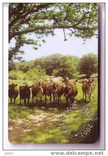 Jersey - Cow – Kuh – Vaca - Vache – Vaccino – Vaches - Vacca – Cows - Year Of The Jersey 2001 - Jersey Et Guernesey