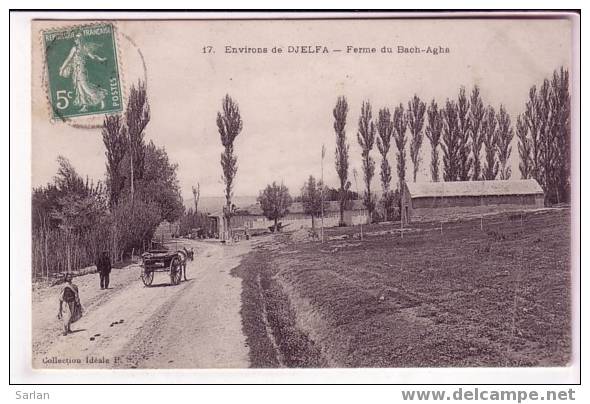 ALGERIE ,  Environs De DJELFA , Ferme Du Bach-Agha - Djelfa