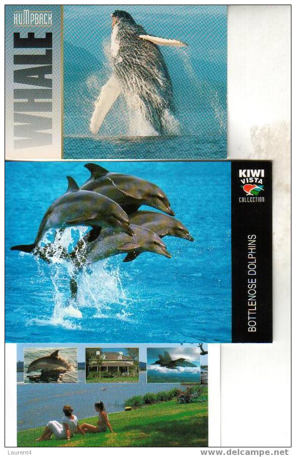 3 X Dolphins - Whales Postcards - 3 Carte Postale De Dauphins - Balaine - Fish & Shellfish