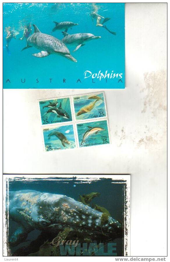 2 X Dolphins - Whales Postcards + Stamps - 2 Carte Postale De Dauphins - Balaine + Timbres - Fish & Shellfish