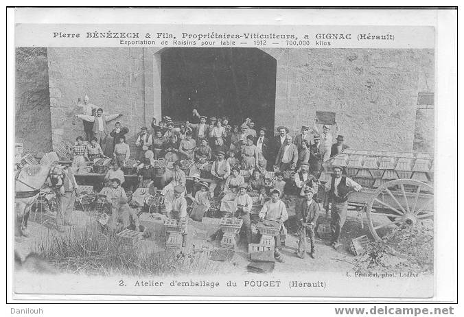 34 //HERAULT / GIGNAC / P Bénézech Viticulteur / Atelier D'emballage Du POUGET / Tres Beau Plan - Gignac