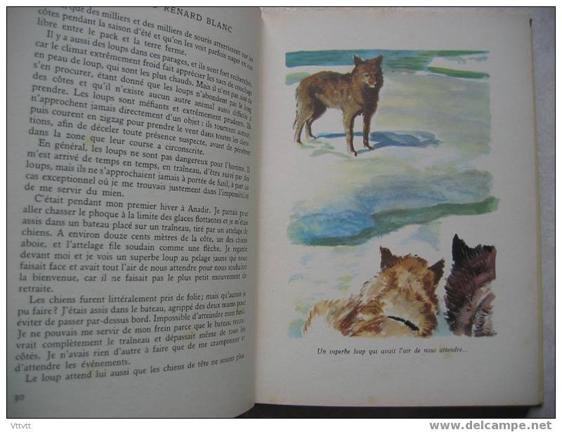 Au Pays Du Renard Blanc De Olaf Swenson(1956), Illustrations G. De Sainte-Croix, Editions G.P. (Rouge Et Or) - Bibliotheque Rouge Et Or