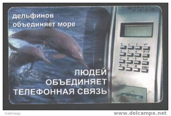 DOLPHINE - RUSSIA - Dauphins