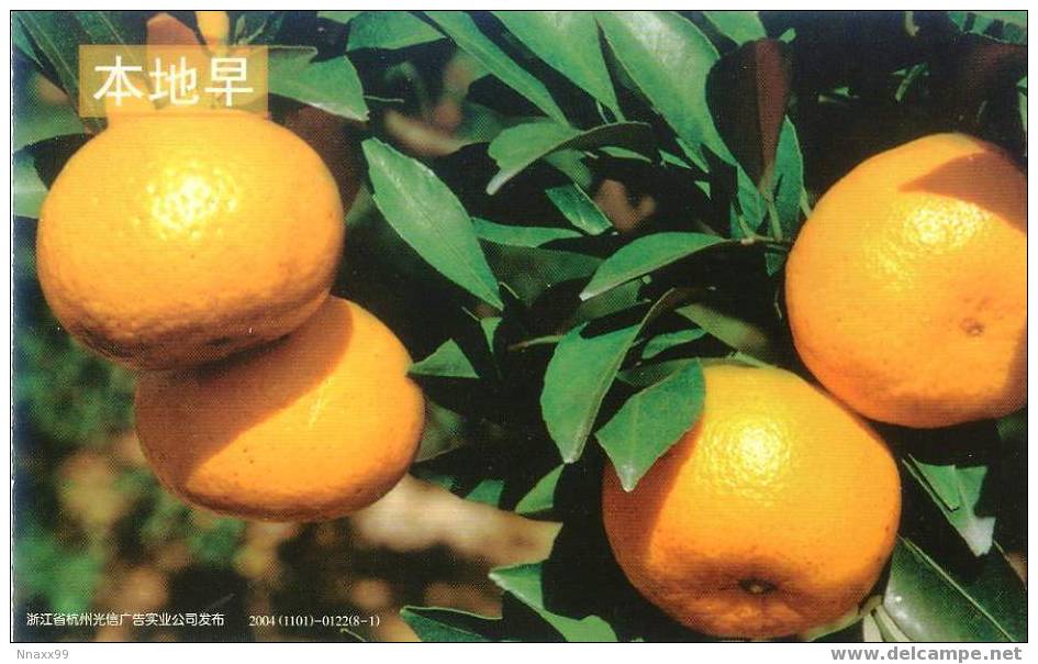 Fruit - Orange - Orange Breed, Bendizao - Landwirtschaftl. Anbau