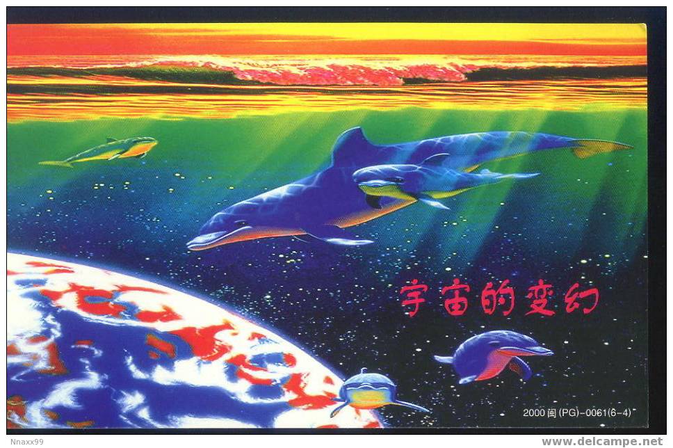 Animal Picture Poster - The Universe´s Change - Dolphins And Whales - Dolfijnen