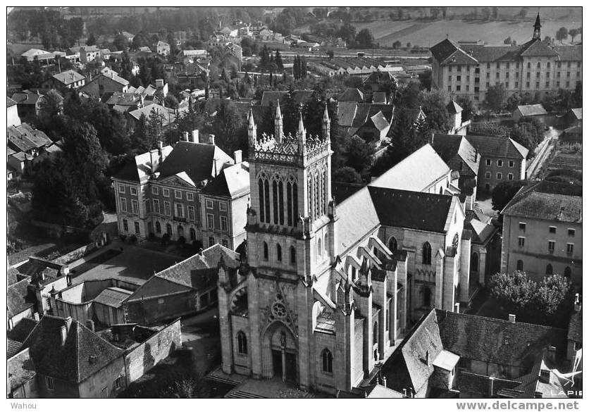 BELLEY   -   En Avion Au-dessus De....  La Cathédrale    (Carte Noir Et Blanc Ayant Voyagé En 1961) - Belley