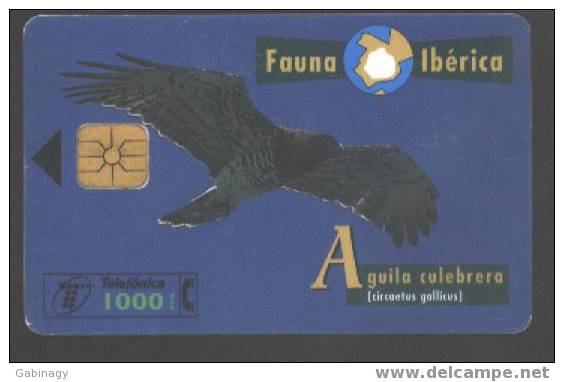 BIRDS - SPAIN - FAUNA IBERICA - EAGLE - Aigles & Rapaces Diurnes