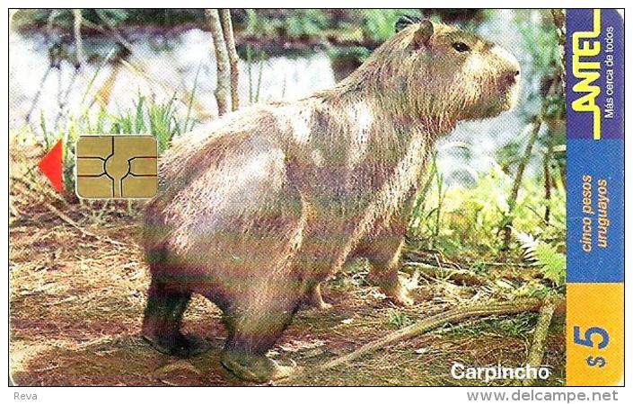 URUGUAY $5 CARPINCHO ANIMAL EARLY CARD CHIP No. 90 READ DESCRIPTION !! - Uruguay