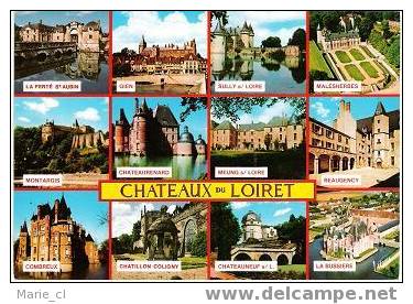 CHATEAUX DU LOIRET - Castles