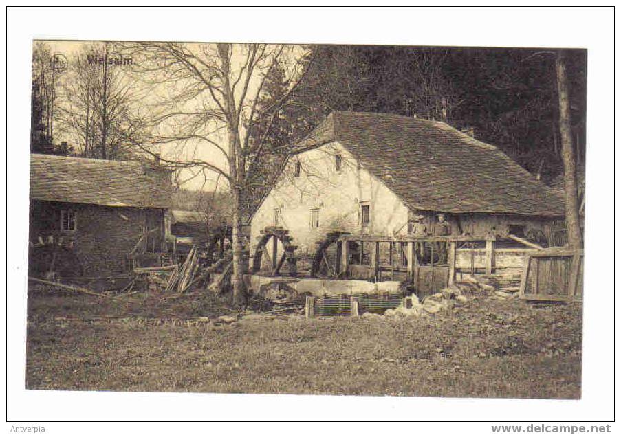 Vielsalm Le Vieux Moulin (vierge) - Moulins à Eau