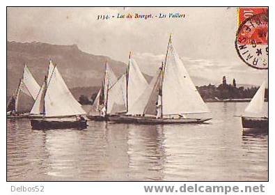 3134 - LAC DU BOURGET - Les Voiliers - Le Bourget Du Lac