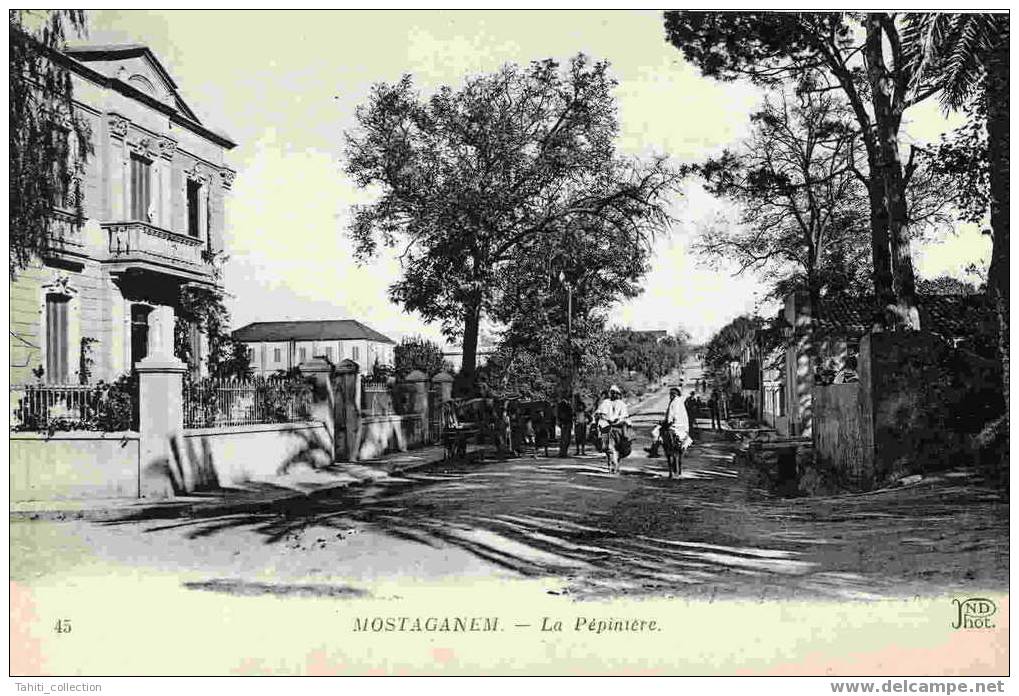 MOSTAGANEM - La Pépinière - Mostaganem
