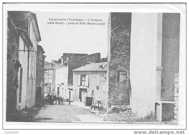 84 // VAUCLUSE / LOURMARIN / L'avenue (coté Nord) Près De La Villa Marie Lucie - Lourmarin