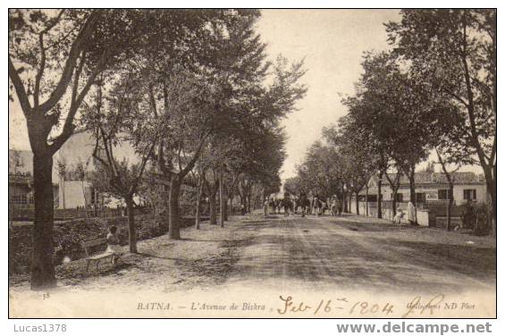 38 / BATNA / L AVENUE DE BISKRA / DOS NON DIVISE 1904 - Batna