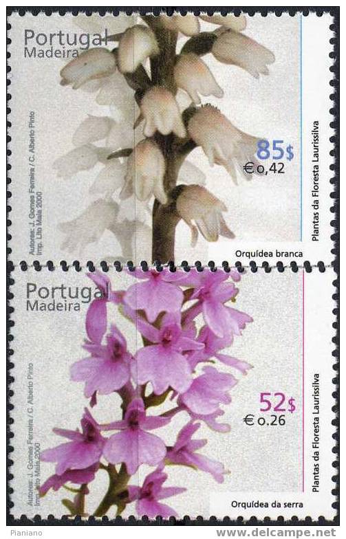PIA - MADERE - 2000 - Flore - Plantes De La Foret Laurifère De Madere - (Yv 212-17) - Madère
