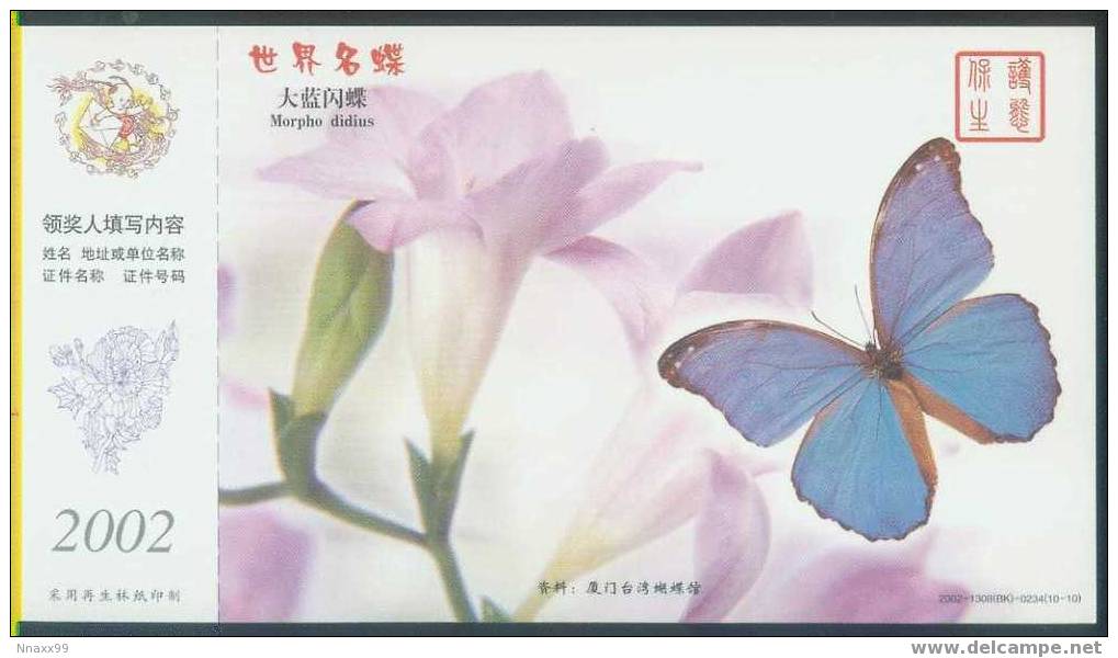 Butterfly & Moth - World Famous Butterfly - Morpho Didius - Farfalle