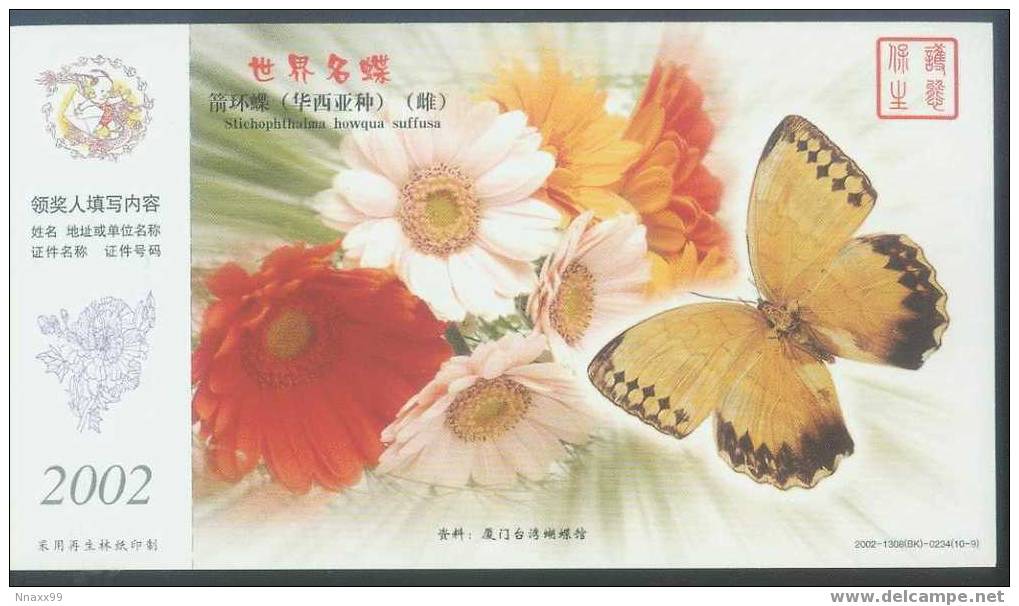 Butterfly & Moth - World Famous Butterfly - Stichophthalma Howqua Suffusa - Farfalle