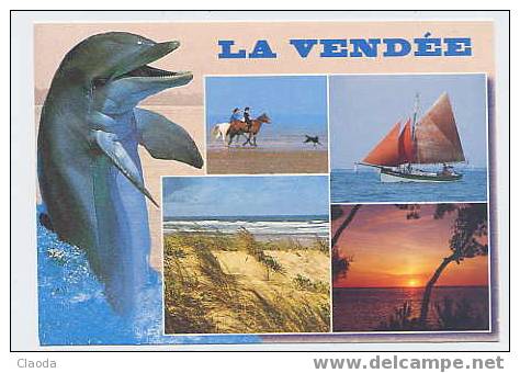 CP LA VENDEE (DAUPHIN)(36 NC) - Dolfijnen