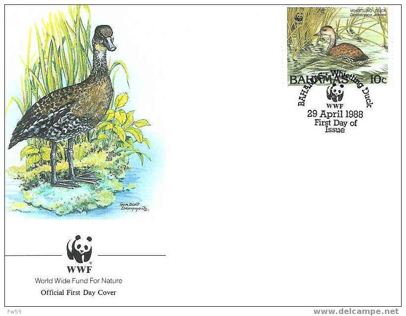 OISEAU CANARD LE DENDROCYGNE A TETE NOIRE ENVELOPPE PREMIER JOUR WWF BAHAMAS 1988 DIFFERENT - Entenvögel