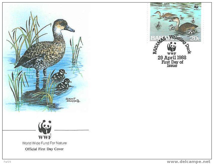 OISEAU CANARD LE DENDROCYGNE A TETE NOIRE ENVELOPPE PREMIER JOUR WWF BAHAMAS 1988 DIFFERENT - Canards