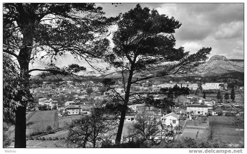 AUBAGNE   (Bouches-du-Rhône)   -   Panorama       (carte Noir Et Blanc Ayant Voyagé En 1965) - Aubagne