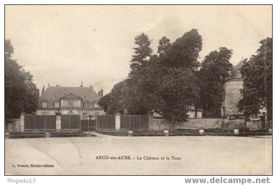 Arcis Sur Aube Le Château Et La Tour à Voir - Arcis Sur Aube